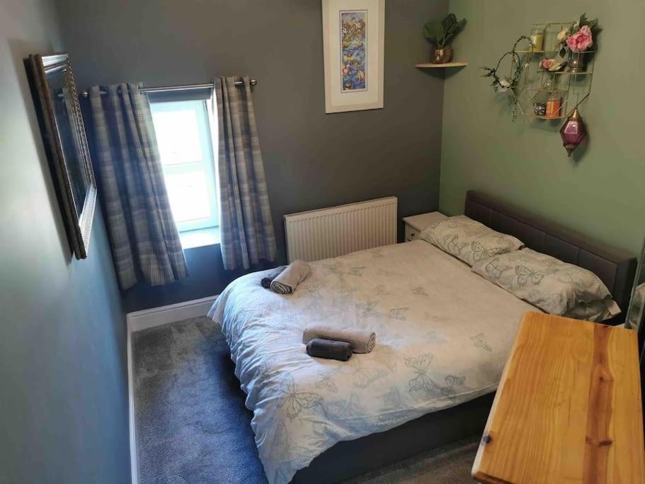 Number 7 Torquay Stunning Sea Views Apartment Екстериор снимка